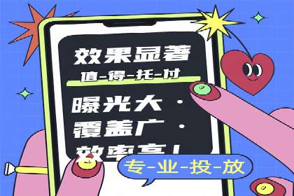 百度广告投放策略与效果评估案例